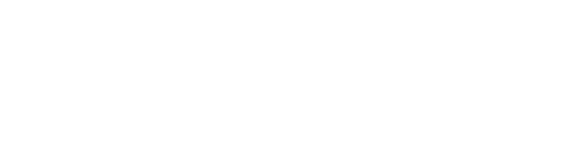 AizelNetwork_logo